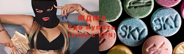 дживик Инта
