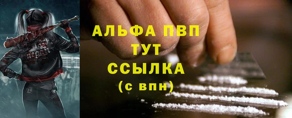 ешки Каменногорск