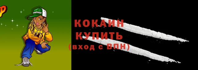 ешки Каменногорск