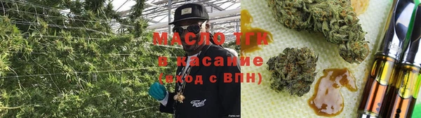 ешки Каменногорск