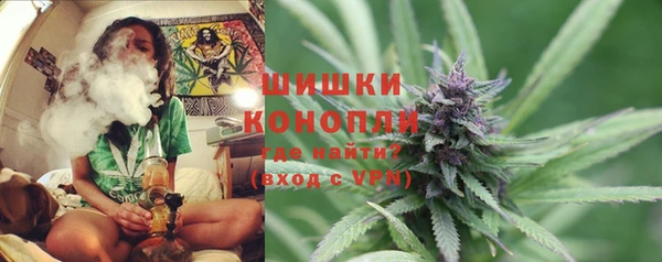 ешки Каменногорск