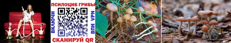 Галлюциногенные грибы MAGIC MUSHROOMS  Купить где  Нытва 